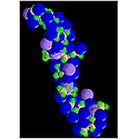 Hyaluronic Acid Phalloplasty