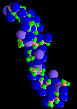 Penis enlargement using Hyaluronic Acid (HA)