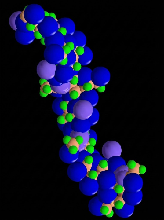 Very specialized HA injections are best for glans enhancement